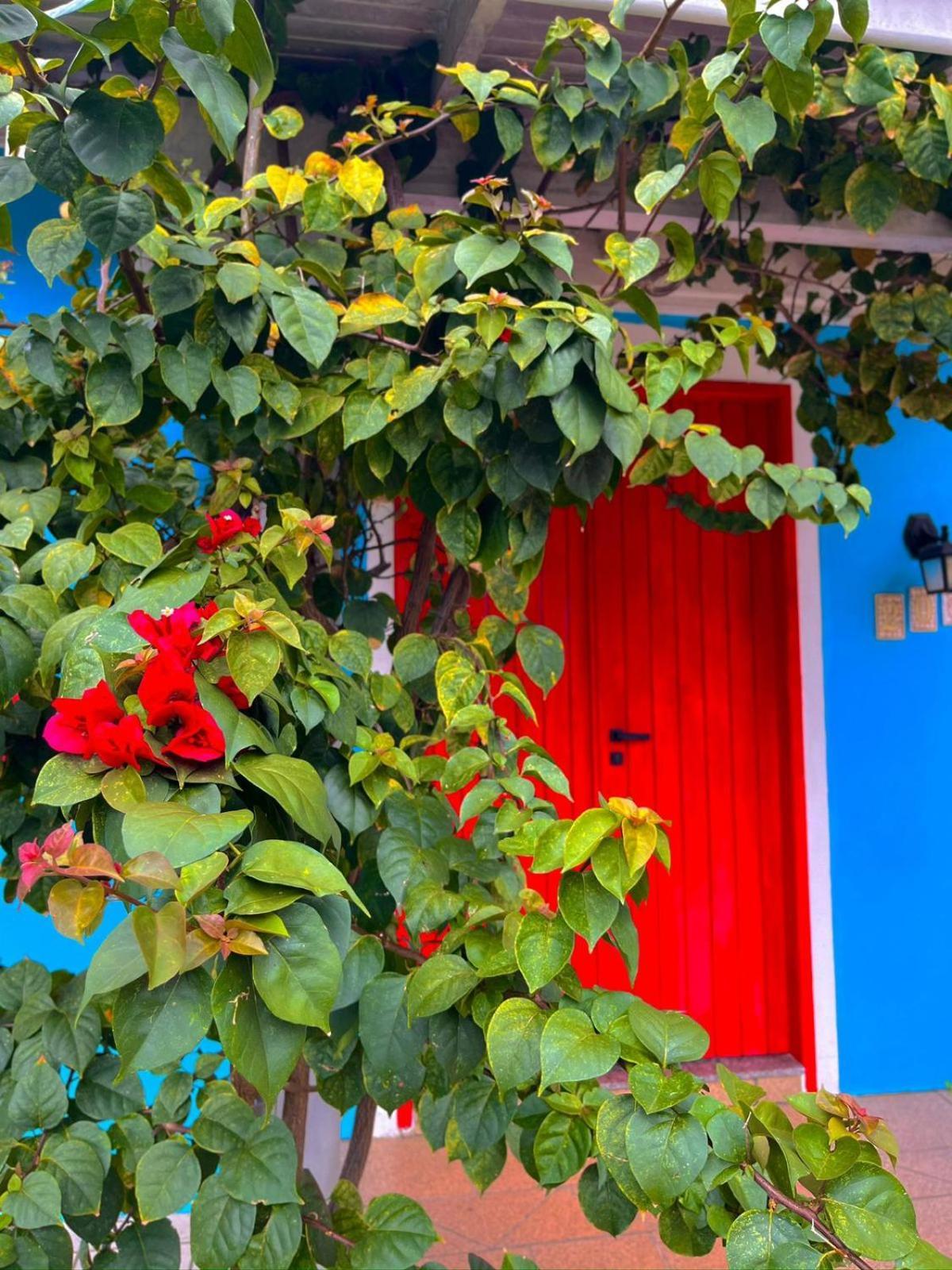 Pequi Hostel Florianopolis Exterior photo